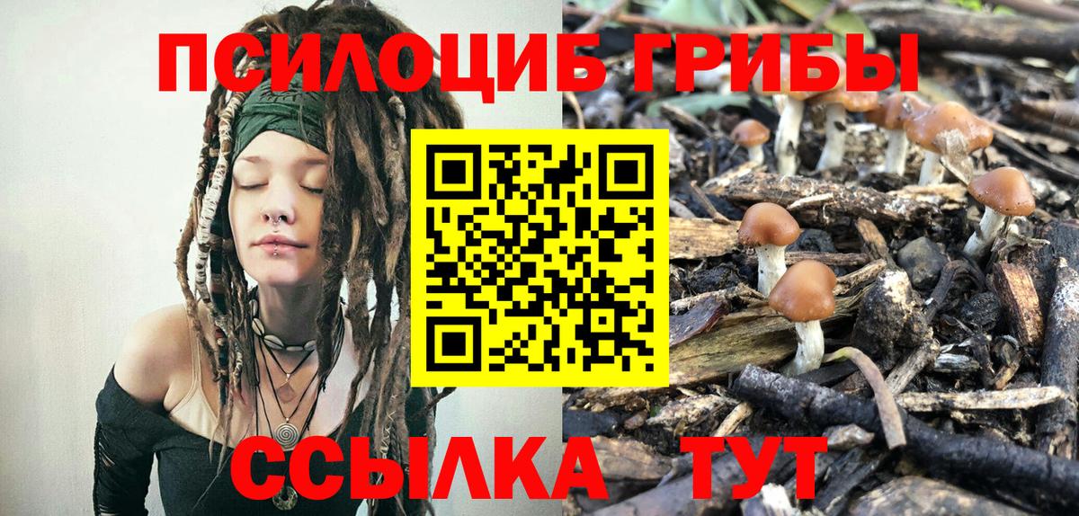 Галлюциногенные грибы ЛСД  Вход с VPN  наркота  Псилоцибиновые грибы ЛСД  Волоколамск 