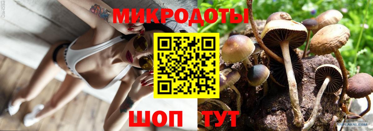 Псилоцибиновые грибы ЛСД Волоколамск